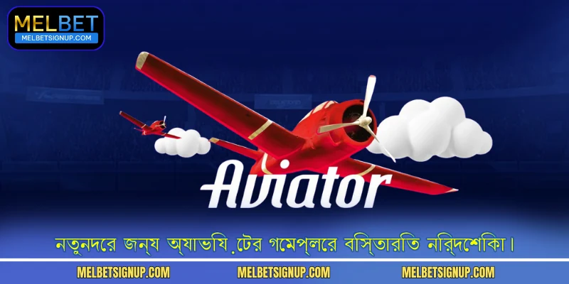 নতুনদের জন্য অ্যাভিয়েটর গেমপ্লের বিস্তারিত নির্দেশিকা।