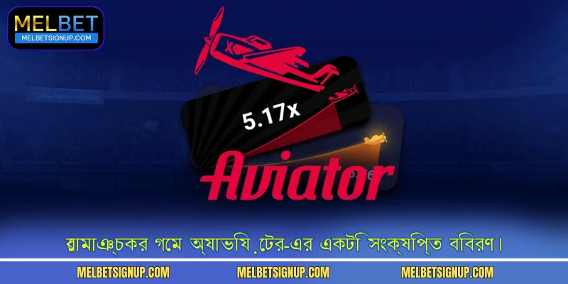 রোমাঞ্চকর গেম অ্যাভিয়েটর-এর একটি সংক্ষিপ্ত বিবরণ।